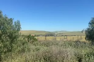 10011 Tesla Rd, Livermore, CA 94550 - Photo 7