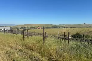 10011 Tesla Rd, Livermore, CA 94550 - Photo 3