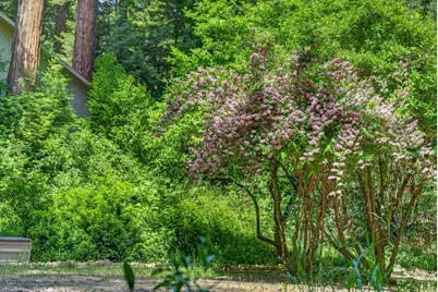 450 Vine Hill Rd, Santa Cruz, CA 95065 - Photo 33