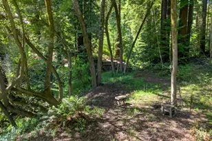 450 Vine Hill Rd, Santa Cruz, CA 95065 - Photo 39
