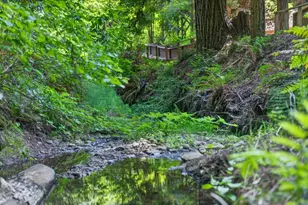 450 Vine Hill Rd, Santa Cruz, CA 95065 - Photo 41