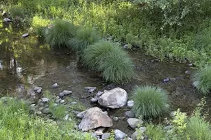 14 Fernwood Dr, Boulder Creek, CA 95006 - Photo 19