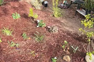 14 Fernwood Dr, Boulder Creek, CA 95006 - Photo 21