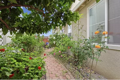 377 S Mary Ave, Sunnyvale, CA 94086 - Photo 33
