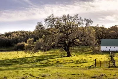 3100 Sonoma Mountain Rd, Sonoma, CA 95476 - Photo 39