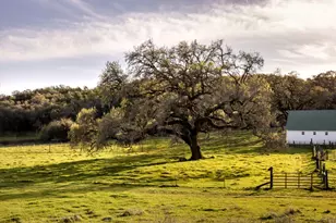 3100 Sonoma Mountain Rd, Sonoma, CA 95476 - Photo 39