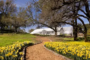 3100 Sonoma Mountain Rd, Sonoma, CA 95476 - Photo 25