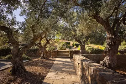 3100 Sonoma Mountain Rd, Sonoma, CA 95476 - Photo 41