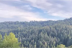 21477 Old Mine Rd, Los Gatos, CA 95033 - Photo 35