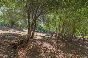 21477 Old Mine Rd, Los Gatos, CA 95033 - Photo 31