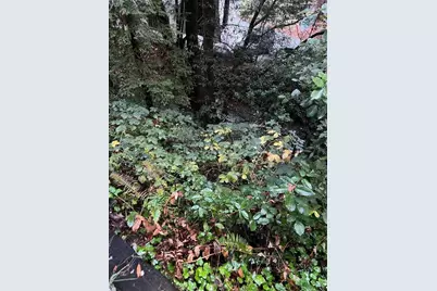 141 Chanterelle, Ben Lomond, CA 95005 - Photo 5