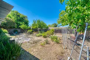 1149 Audrey Ave, Campbell, CA 95008 - Photo 3