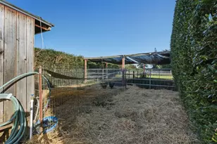 3390 Fallon Rd, Hollister, CA 95023 - Photo 97