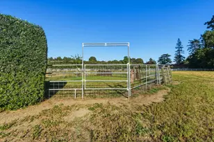 3390 Fallon Rd, Hollister, CA 95023 - Photo 95
