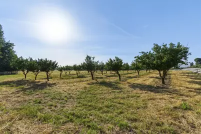 3390 Fallon Rd, Hollister, CA 95023 - Photo 93