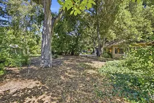 342 Kellogg Ave, Palo Alto, CA 94301 - Photo 57
