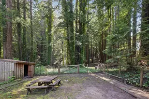 6774 La Honda Rd, La Honda, CA 94020 - Photo 35