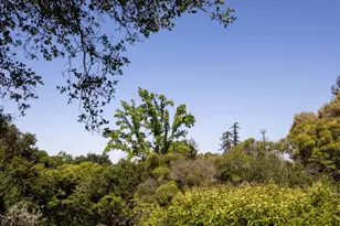 746 Santa Ynez St, Stanford, CA 94305 - Photo 41