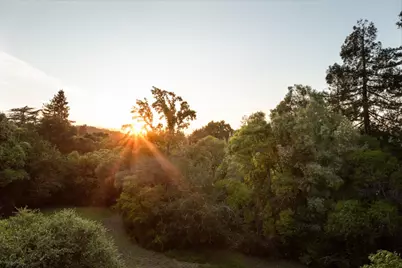 746 Santa Ynez St, Stanford, CA 94305 - Photo 51