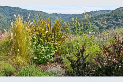 27690 Central Dr, Los Altos Hills, CA 94022 - Photo 59