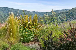 27690 Central Dr, Los Altos Hills, CA 94022 - Photo 59