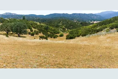31341 Airline Hwy, Paicines, CA 95043 - Photo 79
