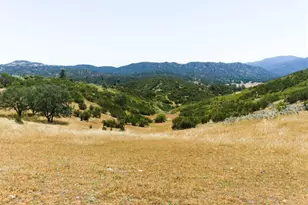 31341 Airline Hwy, Paicines, CA 95043 - Photo 79