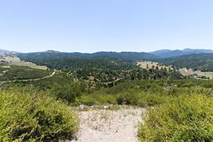 31341 Airline Hwy, Paicines, CA 95043 - Photo 75