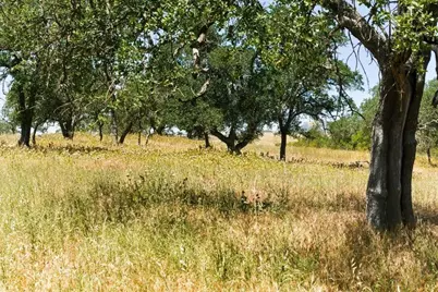 31341 Airline Hwy, Paicines, CA 95043 - Photo 77