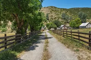 31341 Airline Hwy, Paicines, CA 95043 - Photo 83