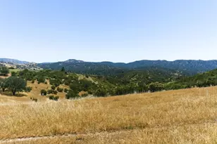 31341 Airline Hwy, Paicines, CA 95043 - Photo 71