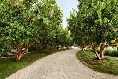 27500 La Vida Real, Los Altos Hills, CA 94022 - Photo 11