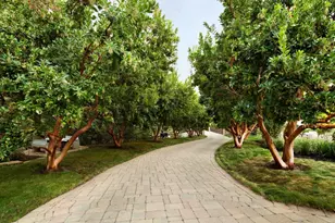 27500 La Vida Real, Los Altos Hills, CA 94022 - Photo 11