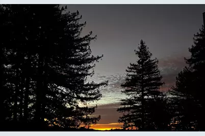 2500 Nelson Rd, Scotts Valley, CA 95066 - Photo 69