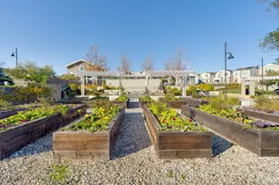 6914 Geyserville St, Dublin, CA 94568 - Photo 33