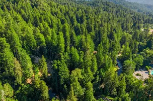 15740 Forest Hill Dr, Boulder Creek, CA 95006 - Photo 47