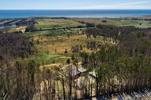 2050 Green Oaks Way, Pescadero, CA 94060 - Photo 17