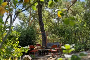 163 Crescent Ave, Portola Valley, CA 94028 - Photo 45