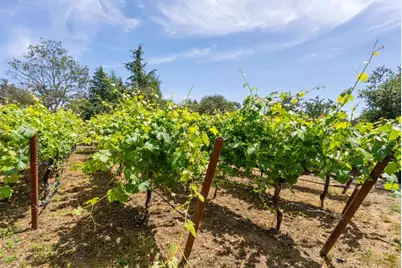 3929 Mainsail Pl, Soquel, CA 95073 - Photo 87