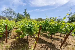 3929 Mainsail Pl, Soquel, CA 95073 - Photo 87