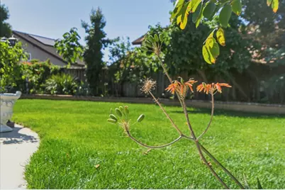 2859 Broken Oak Ct, San Jose, CA 95148 - Photo 37