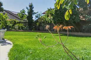 2859 Broken Oak Ct, San Jose, CA 95148 - Photo 37