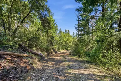 00000 Page Mill Rd, Palo Alto, CA 94304 - Photo 9