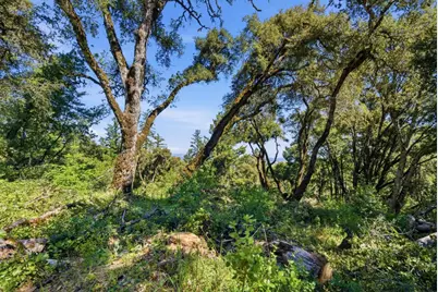 00000 Page Mill Rd, Palo Alto, CA 94304 - Photo 21