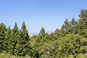11881 Francemont Dr, Los Altos Hills, CA 94022 - Photo 65