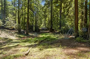 41 Back Rd, La Honda, CA 94020 - Photo 81
