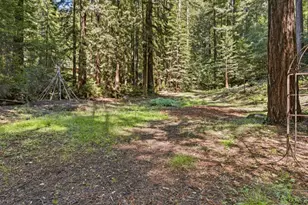 41 Back Rd, La Honda, CA 94020 - Photo 79