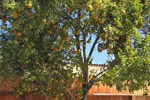 131 Leeds Ave, King City, CA 93930 - Photo 23