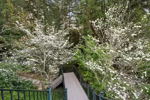 113 Lauren Cir, Scotts Valley, CA 95066 - Photo 127