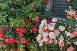 Address Not Disclosed, Santa Cruz, CA 95062 - Photo 7